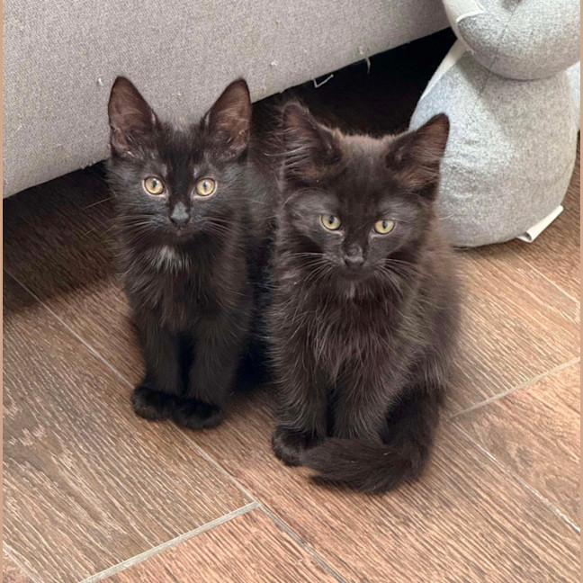 Photo of Adam And Alba   Beautifully Bonded ❤️