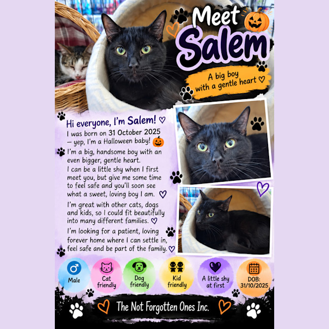 Photo of Salem