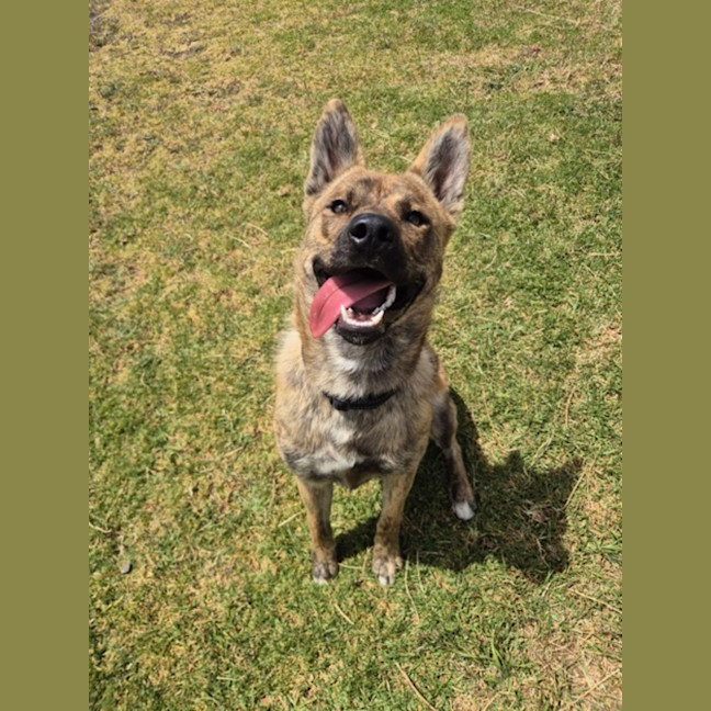 Photo of Tala (67662)