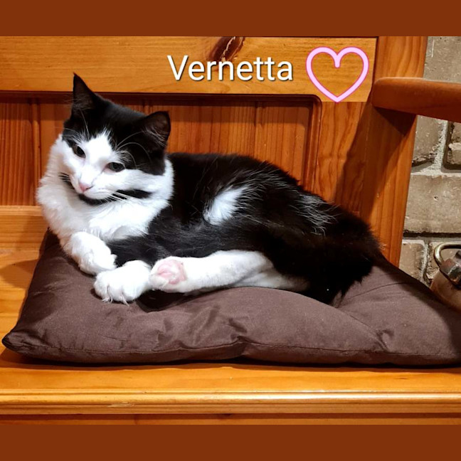 Photo of Vernetta