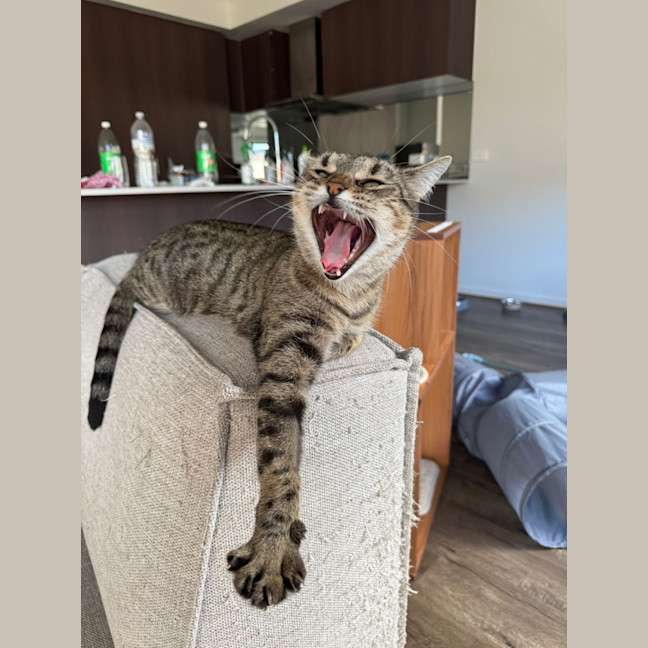 Photo of Winnie