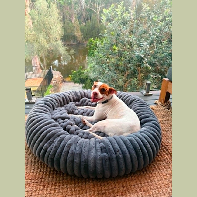 Photo of Mia