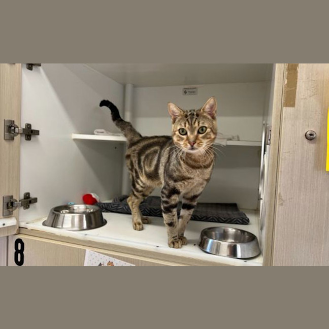 Photo of Millicent