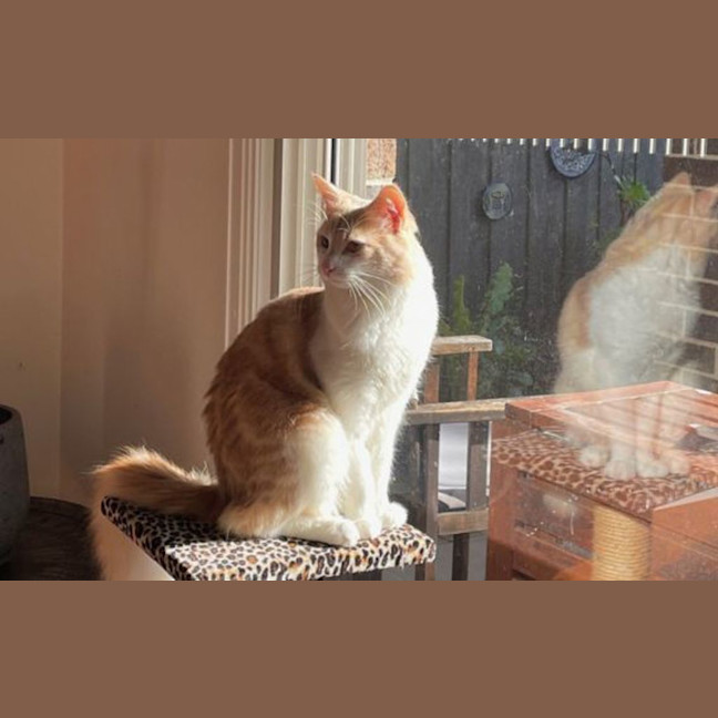 Photo of Slinky George