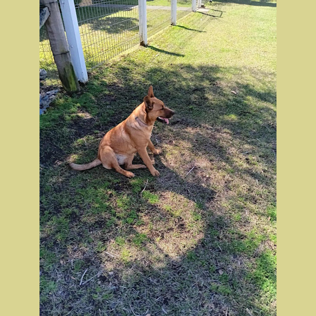 Photo of Scarlet 