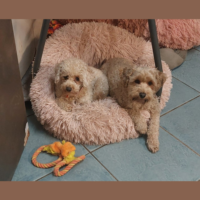 Photo of Layla And Lena 