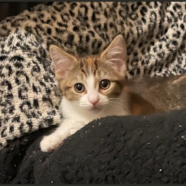 Photo of Lucyloo