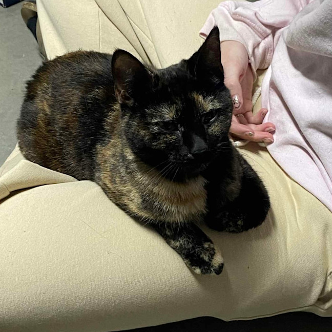 Photo of Kallie 🍃💕