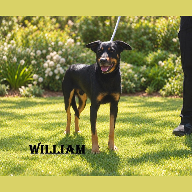 Photo of William