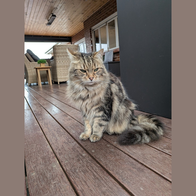 Photo of Jax