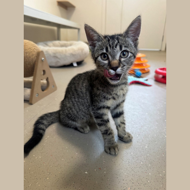 Photo of C1579 Berry