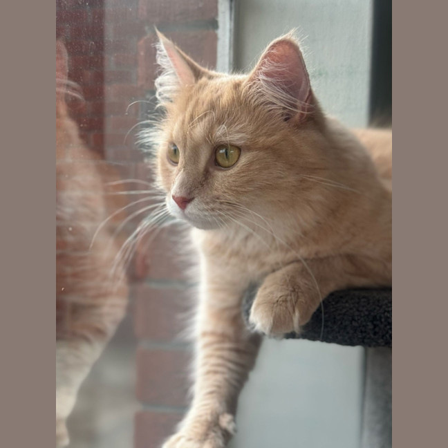 Photo of Lily