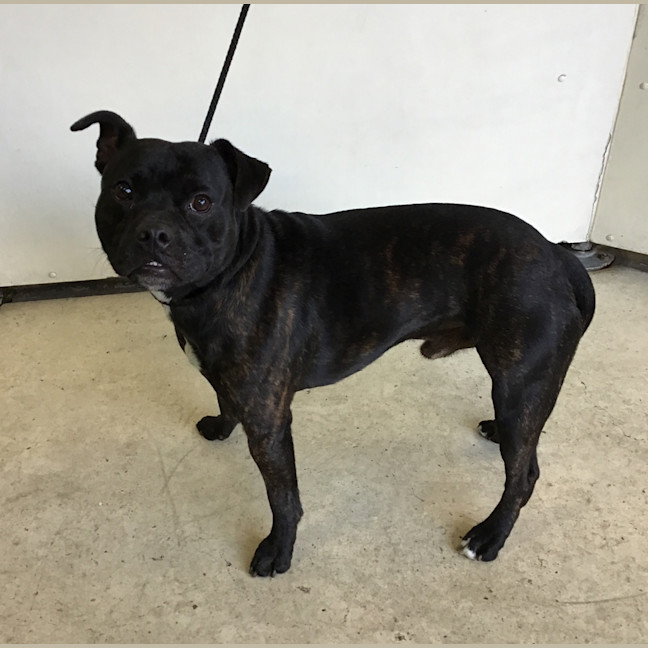 Photo of Turbo