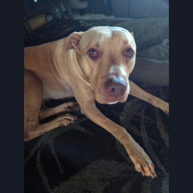 Photo of Sheila