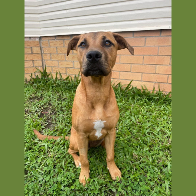 Photo of Luna