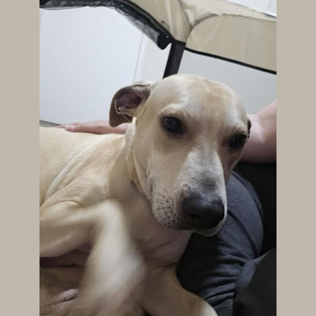 Photo of Bonnie