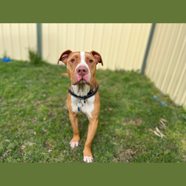 Photo of Wally