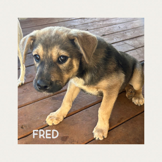 Photo of Fred