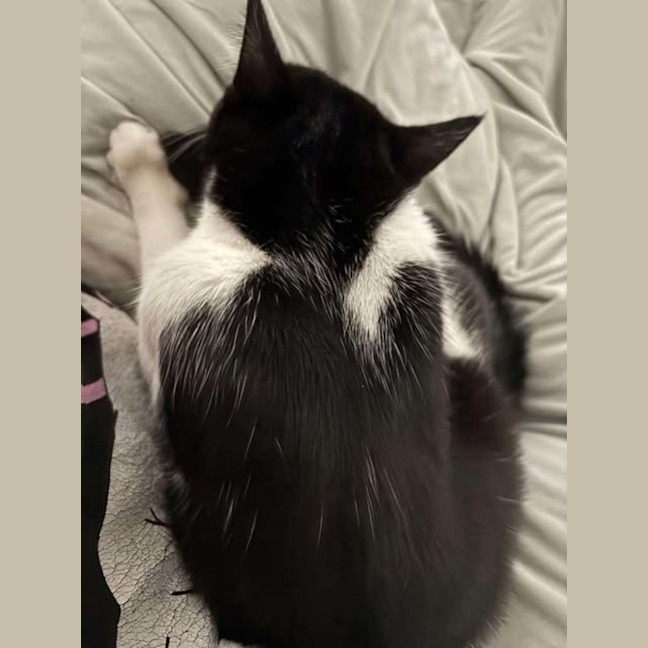 Photo of Mono