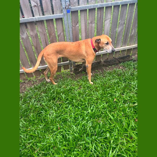 Photo of Delilah