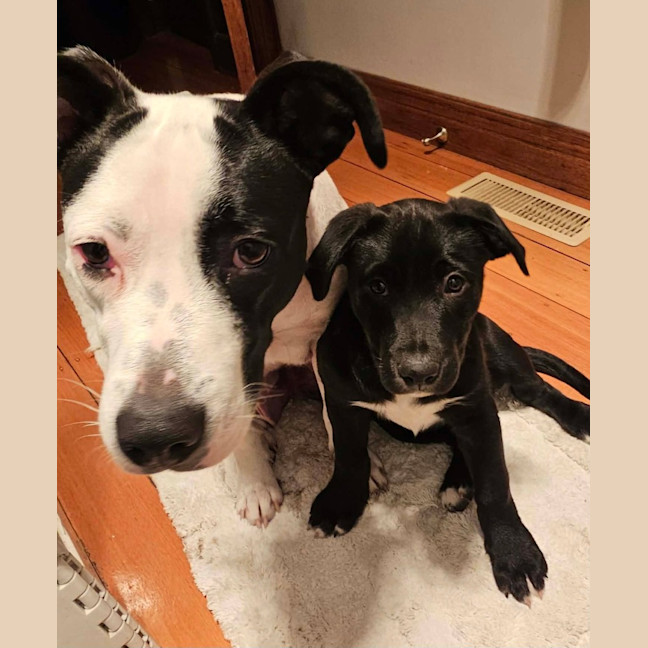 Photo of Cash