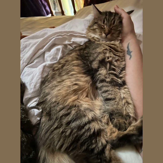 Photo of Penelope & Marshmellow 