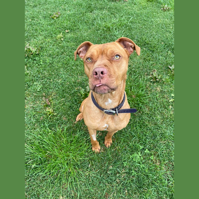 Photo of Gimmo Doolan