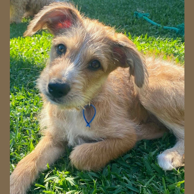 Photo of Cinnamon