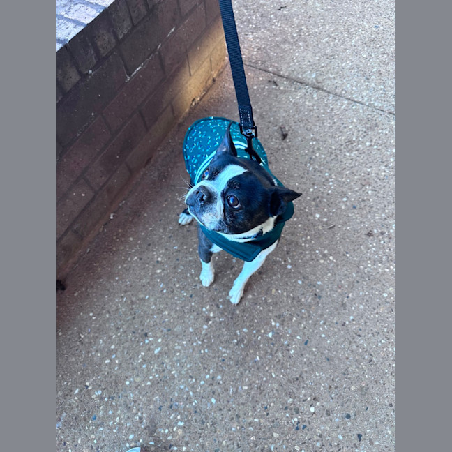 Photo of Timmy