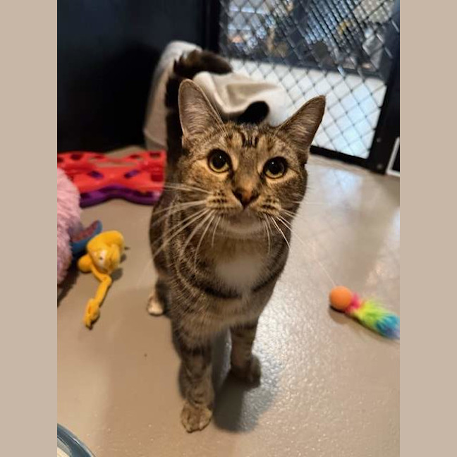 Photo of Pip