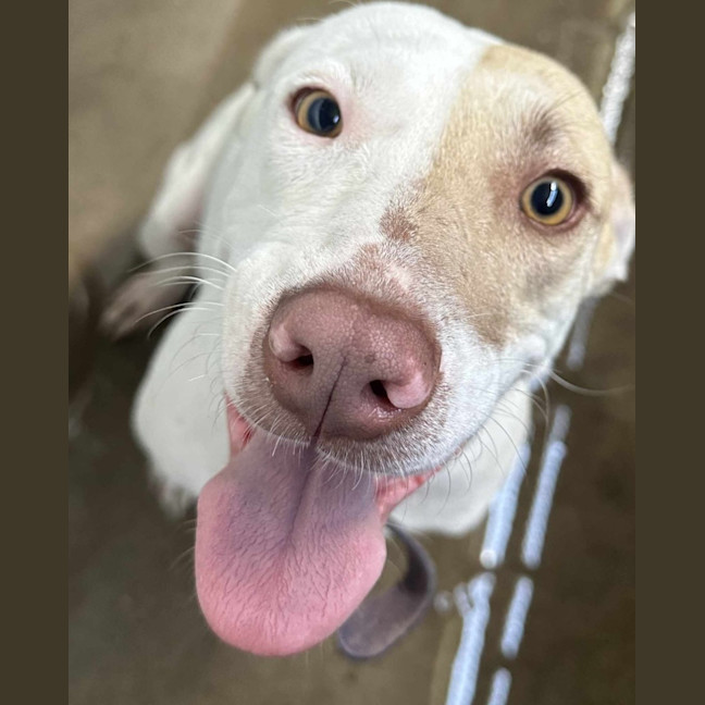 Photo of Ms Marshmellow Squishy Bum ( Marsha For Short)