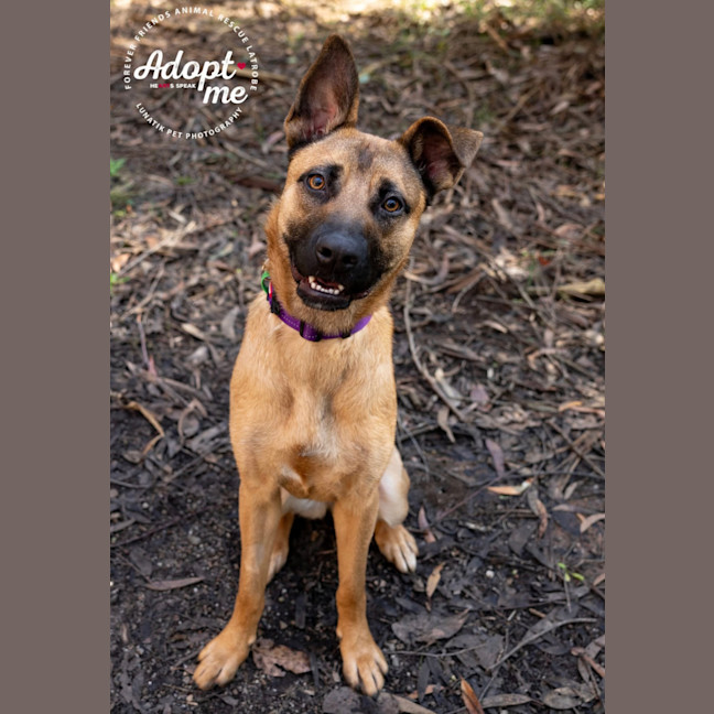 Photo of Lilly