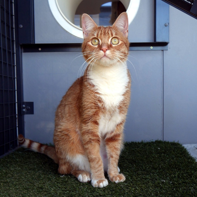 Photo of Jack Sta013676 & Luke Sta013677