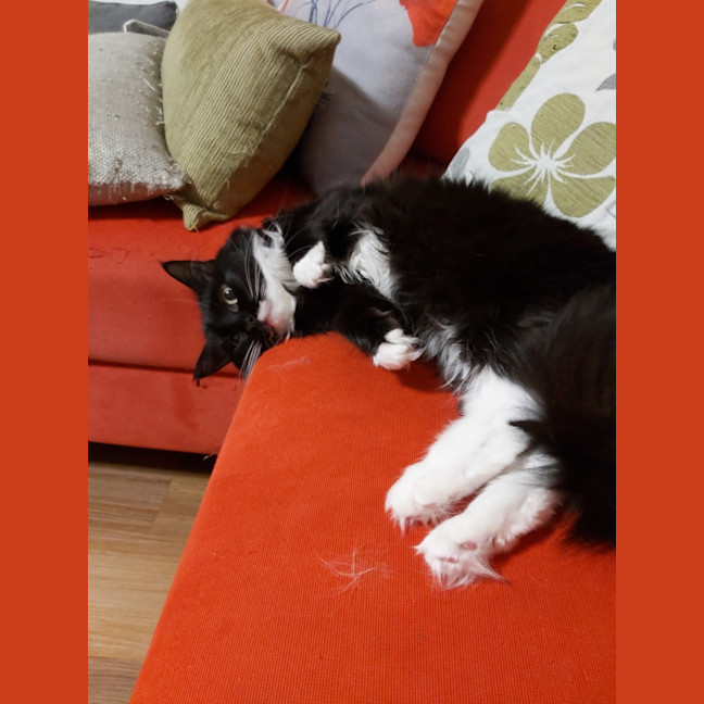 Photo of Fergus & Dorrie