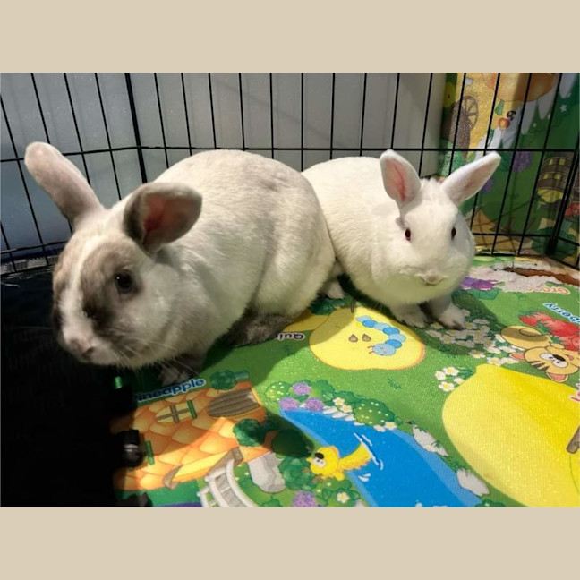 Photo of Mary Hoppins With Audrey Hopburn