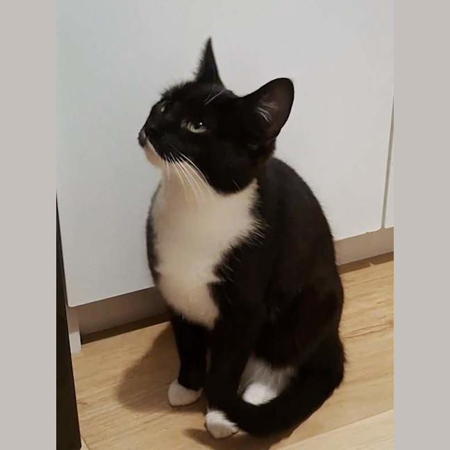 Photo of Sadie