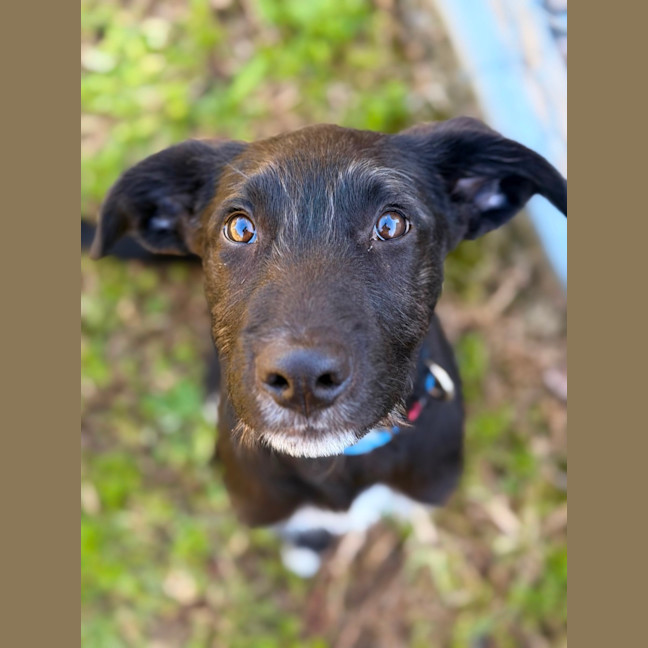 Photo of Wilbur