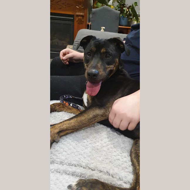 Photo of Nova