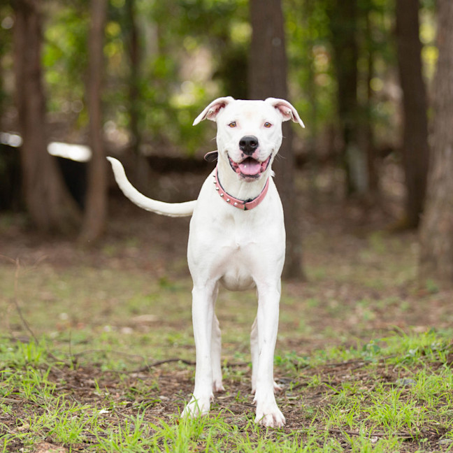 Photo of Luna
