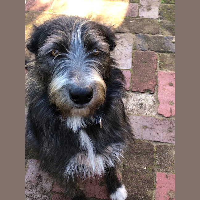 Photo of Winnie