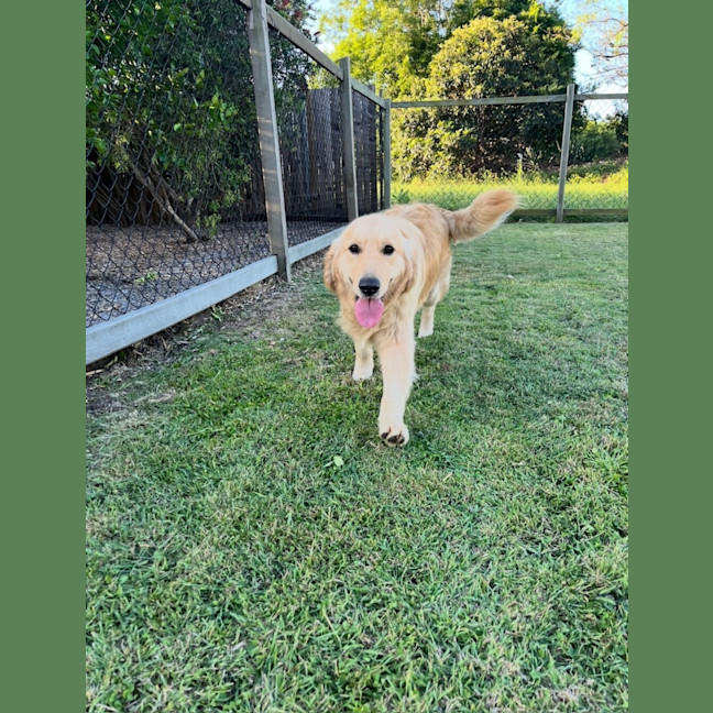Photo of Billy