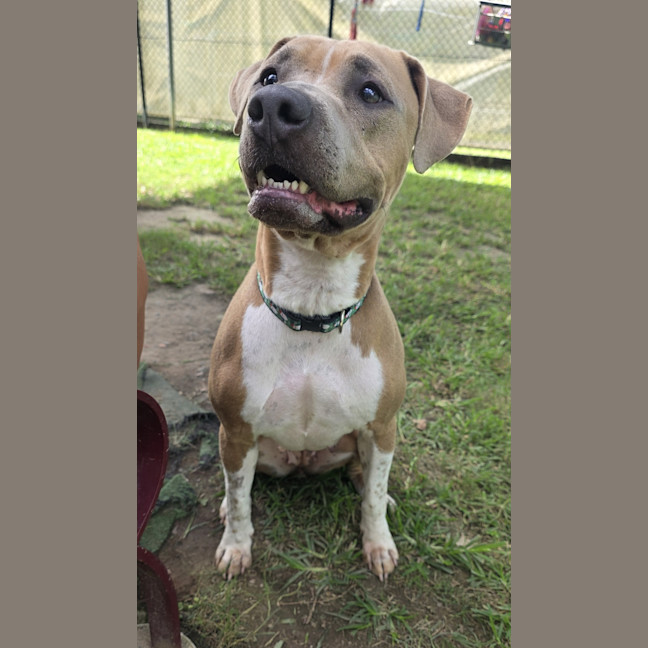 Photo of Stormi Rose