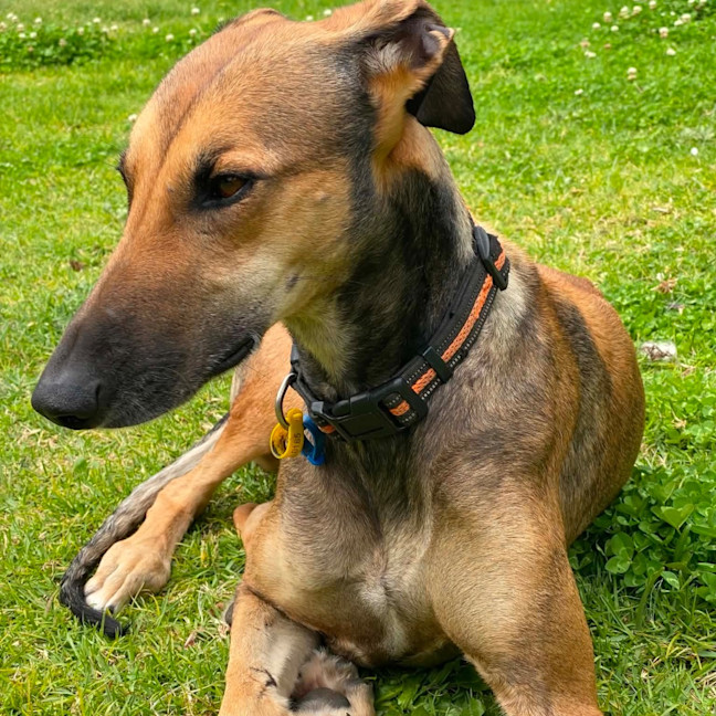 Photo of Grace