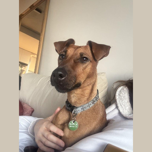 Photo of Missy Peggotty