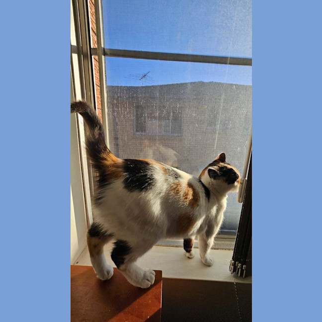 Photo of Mitzi