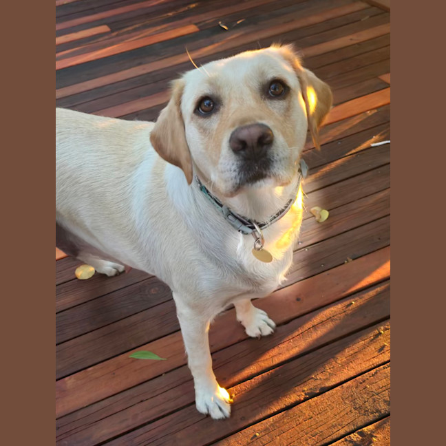 Photo of Hayleywaley