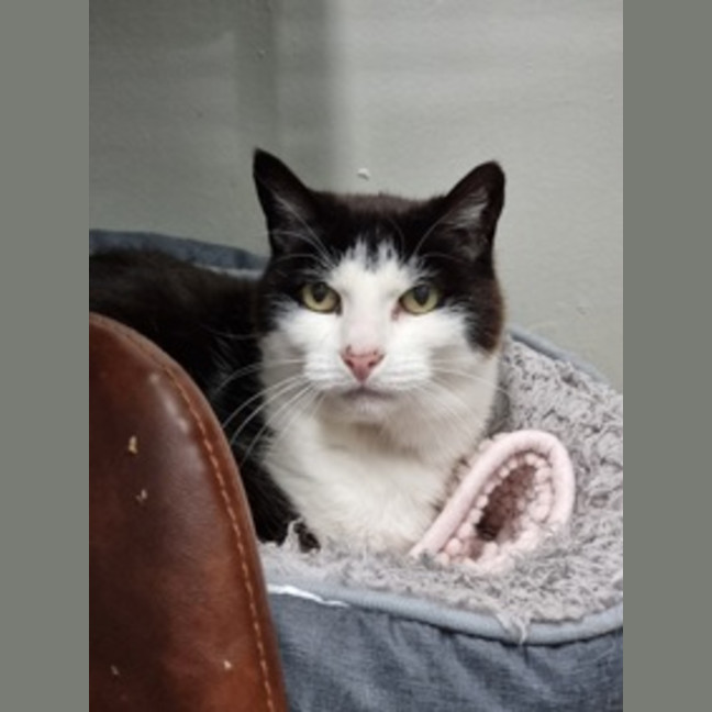 Photo of Tilly