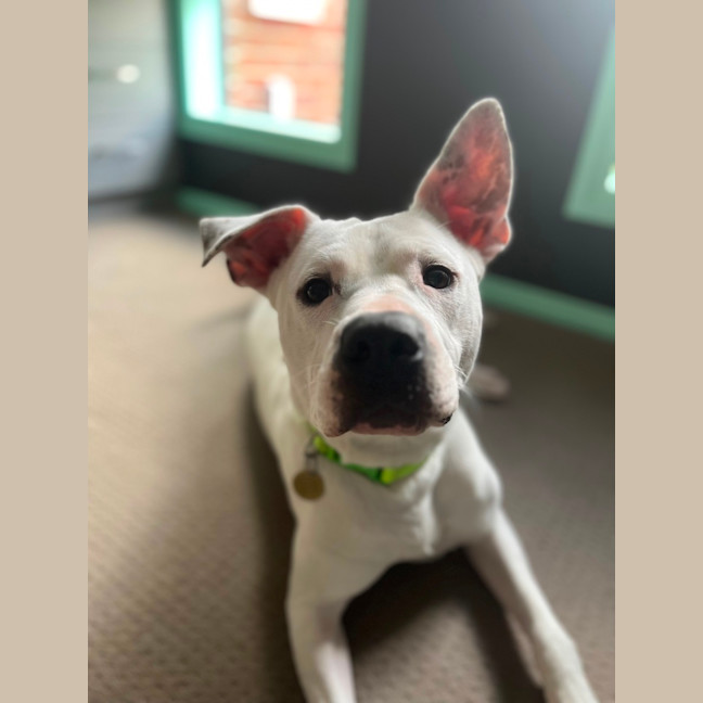 Photo of Lucy Goosey