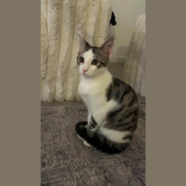 Photo of Tane