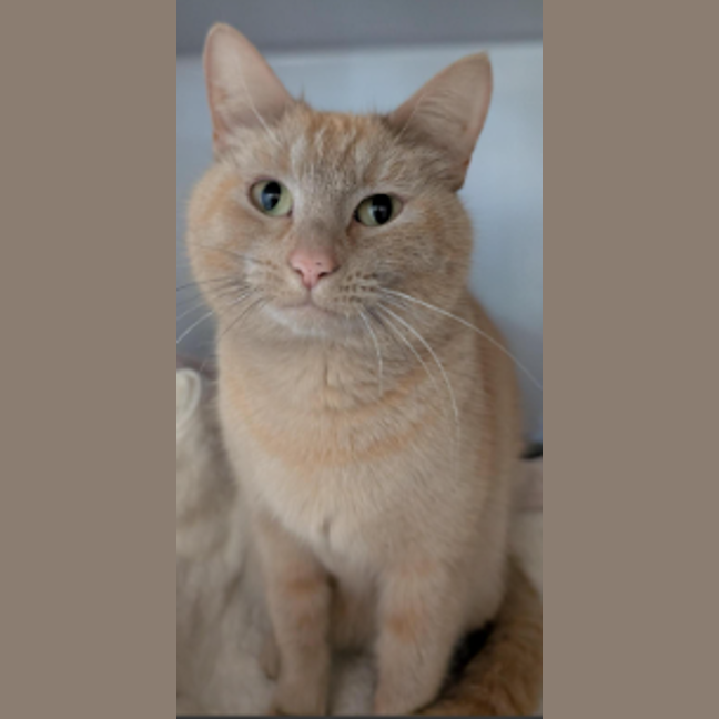 Photo of Miss Michael